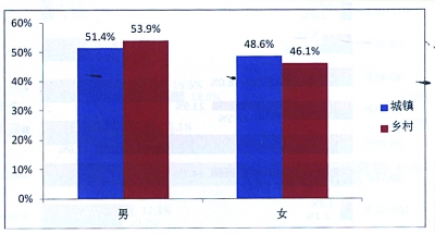 中国银行收入证明模板_中国收入水平分布(3)