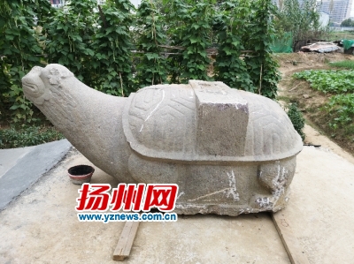 埋于地下近50年重达三四吨 李长乐墓赑屃驮重见天日