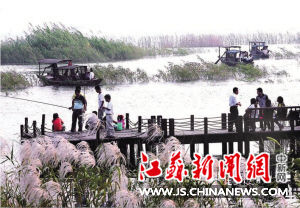 国庆各省旅游收入排行_镇江旅游收入