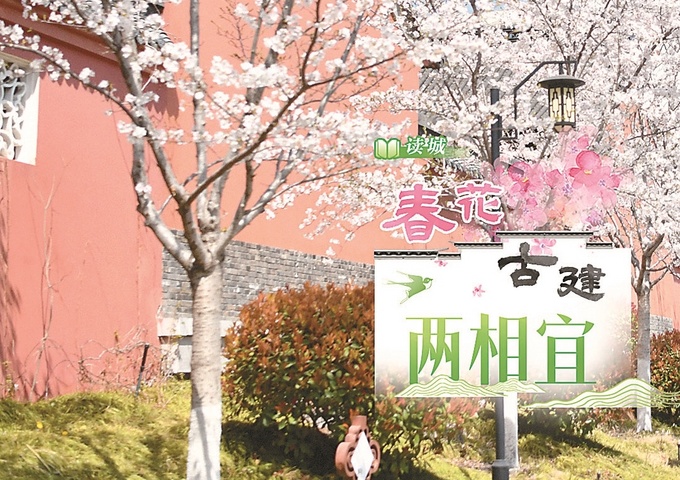817b71f3-1c8b-4841-ac9e-4b1c7ab7c6e5_副本.jpg