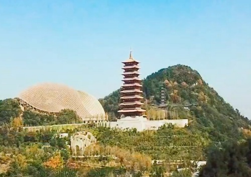 W020250422334384524577_副本.jpg